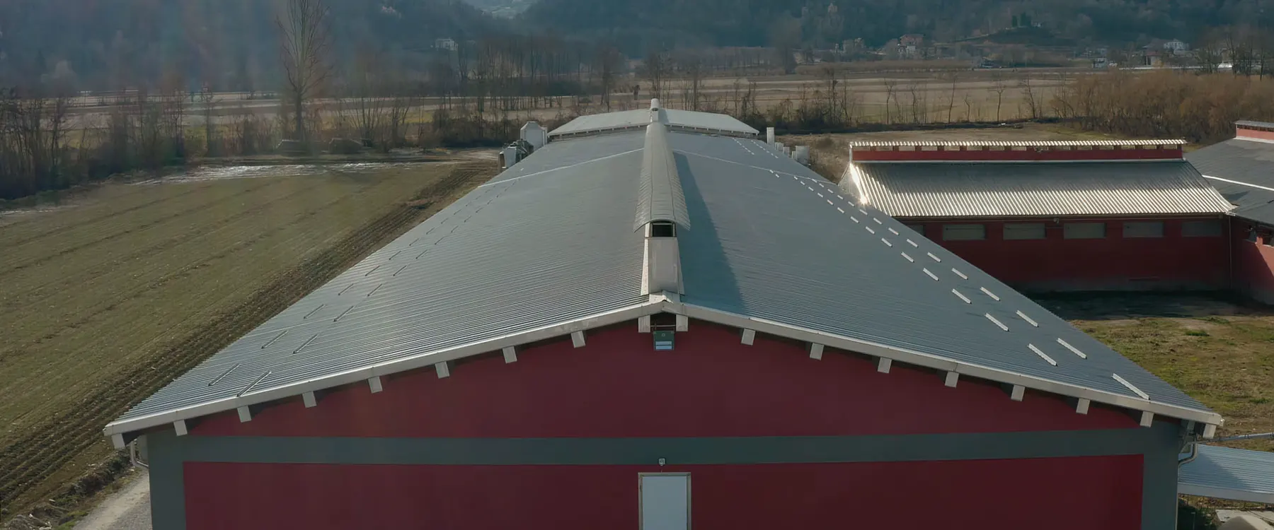 Agricultural building roofed and clad with insulated sandwich panels